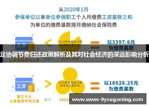 足协调节费归还政策解析及其对社会经济的深远影响分析