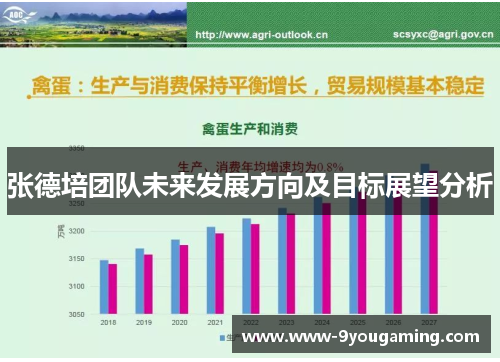 张德培团队未来发展方向及目标展望分析