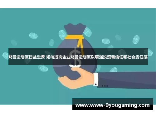 财务透明度日益重要 如何提高企业财务透明度以增强投资者信任和社会责任感