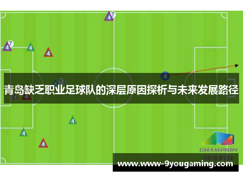 青岛缺乏职业足球队的深层原因探析与未来发展路径