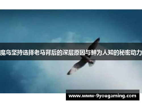 魔鸟坚持选择老马背后的深层原因与鲜为人知的秘密动力