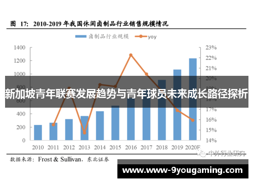 新加坡青年联赛发展趋势与青年球员未来成长路径探析