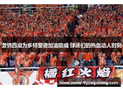 激情四溢为多特蒙德加油助威 球迷们的热血动人时刻