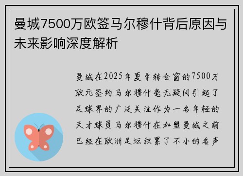 曼城7500万欧签马尔穆什背后原因与未来影响深度解析